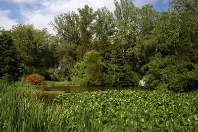 Szombathely, Kámoni Arborétum-stock-foto