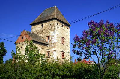 Simontornyai vár-stock-foto