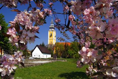 Pásztó, Oskolamester háza és a katolikus templom-stock-foto