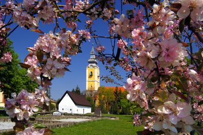 Pásztó, Oskolamester háza és a katolikus templom-stock-foto
