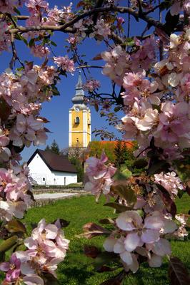 Pásztó, Oskolamester háza és a katolikus templom-stock-foto