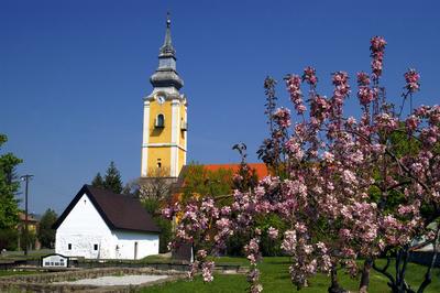 Pásztó, Oskolamester háza és a katolikus templom-stock-foto