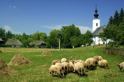 Szennai Szabadtéri Néprajzi Múzeum (skanzen)-stock-foto