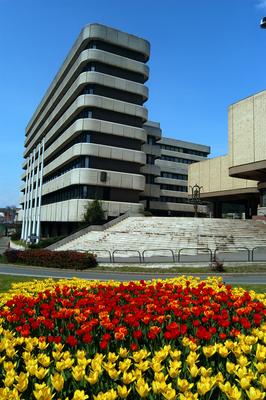 Salgótarján, Városháza-stock-foto