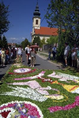 Virágszőnyeges úrnapi körmenet Csömörön-stock-foto