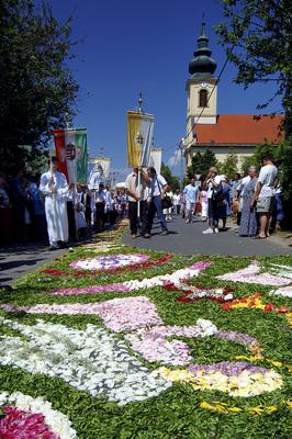 Virágszőnyeges úrnapi körmenet Csömörön-stock-foto