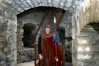 A Hollókői vár-stock-foto
