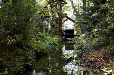Vácrátót, Nemzeti Botanikus Kert (arborétum)-stock-foto