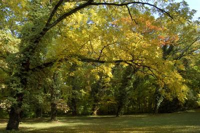Vácrátót, Nemzeti Botanikus Kert (arborétum)-stock-foto
