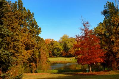 Vácrátót, Nemzeti Botanikus Kert (arborétum)-stock-foto