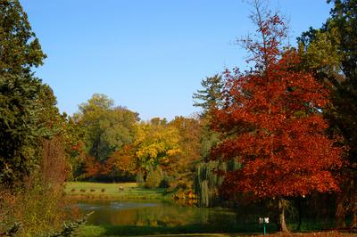 Vácrátót, Nemzeti Botanikus Kert (arborétum)-stock-foto