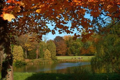 Vácrátót, Nemzeti Botanikus Kert (arborétum)-stock-foto