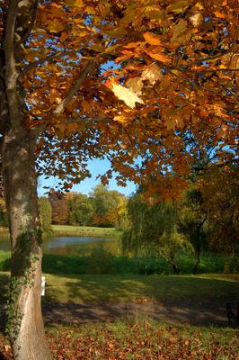 Vácrátót, Nemzeti Botanikus Kert (arborétum)-stock-foto