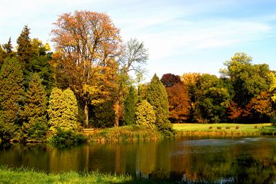 Vácrátót, Nemzeti Botanikus Kert (arborétum)-stock-foto