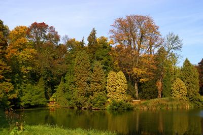 Vácrátót, Nemzeti Botanikus Kert (arborétum)-stock-foto