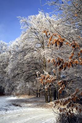Eresztvény tanösvény-stock-foto