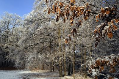 Eresztvény tanösvény-stock-foto