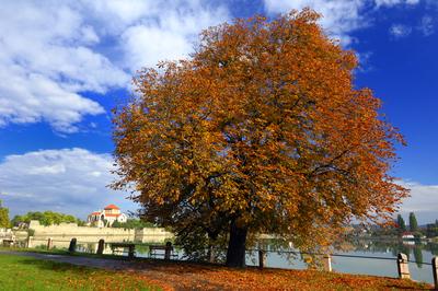 A Tatai vár az Öreg-tó partján-stock-foto