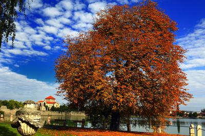 A Tatai vár az Öreg-tó partján-stock-foto