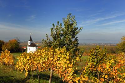 Balatonlelle, Szent Donát-kápolna-stock-foto