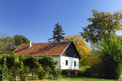 Présház a balatonlellei Kishegyen-stock-foto