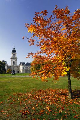 Keszthely, Festetics-kastély-stock-foto