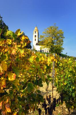 Egregy (Hévíz), Árpád-kori Szent Magdolna templom-stock-foto
