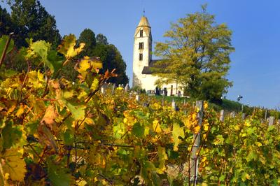 Egregy (Hévíz), Árpád-kori Szent Magdolna templom-stock-foto