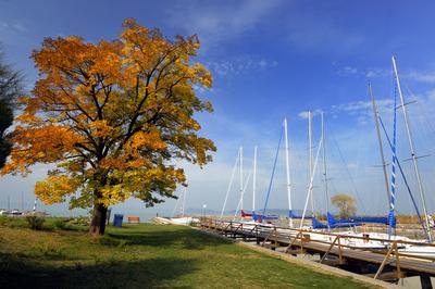 A balatonföldvári vitorláskikötő-stock-foto