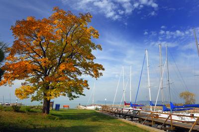 A balatonföldvári vitorláskikötő-stock-foto