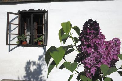 Ócsai Tájház és Skanzen-stock-foto