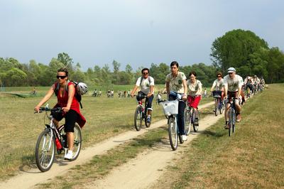 Dejtár, Duna-Ipoly Nemzeti Park-stock-foto