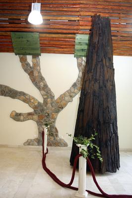 Ipolytarnóc, ősfenyő maradvány-stock-foto