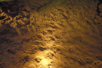 Ipolytarnóc, ősállati lábnyomok-stock-foto