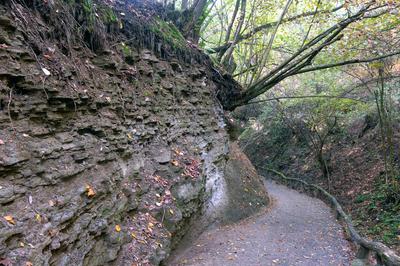 Ipolytarnóc, Geológiai tanösvény-stock-foto