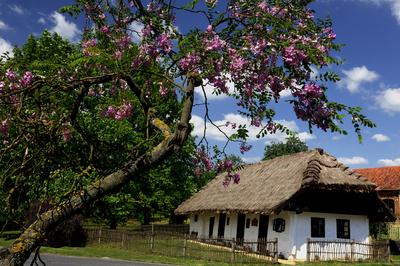 Csesztregi tájház (pásztorház)-stock-foto
