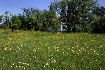 Őrségi táj Őriszentpéteren.-stock-foto