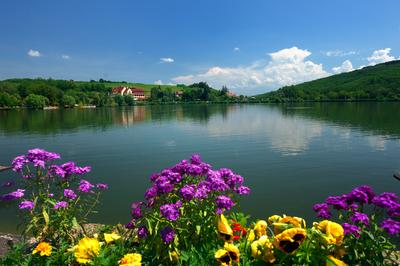 A Bánki tó nyáron-stock-foto