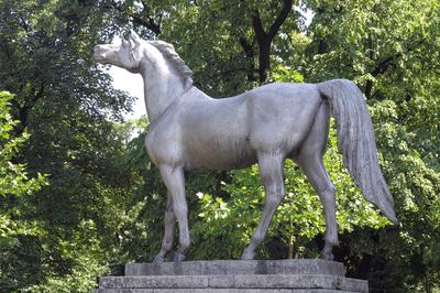 Bábolna, ″A leghűségesebb bajtársnak″ szobor-stock-foto