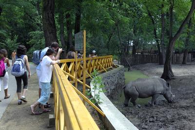 Nyíregyházi Állatpark (Sóstó ZOO)-stock-foto