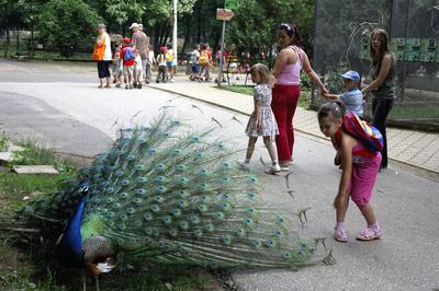 Nyíregyházi Állatpark (Sóstó ZOO)-stock-foto