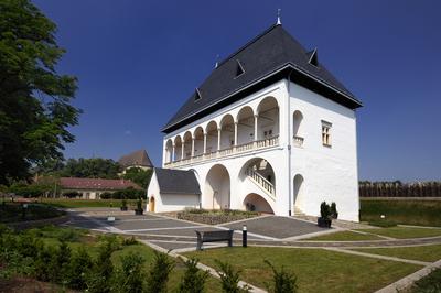 Nyírbátor, Báthory Várkastély-stock-foto