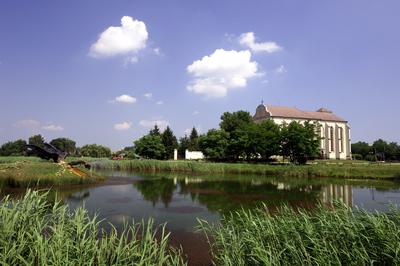 Nyírbátori római katolikus minorita templom-stock-foto