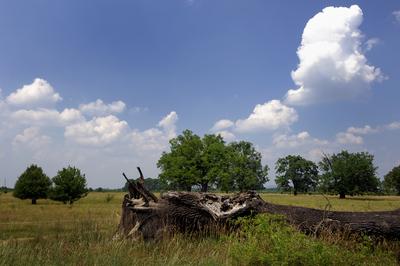 Túristvándi táj-stock-foto