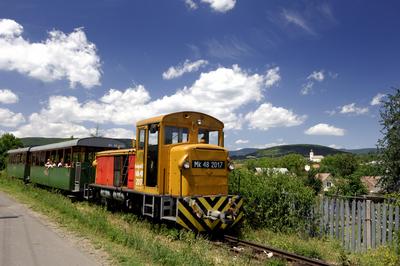 A Királyréti Erdei Vasút megállója Szokolyán-stock-foto