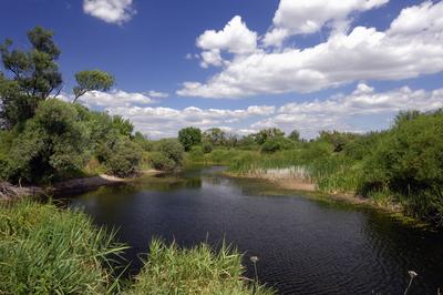 Dejtár, Kifli-tó-stock-foto