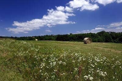 Őrségi táj Őriszentpéter határában-stock-foto