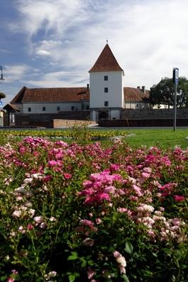 Sárvár, Nádasdy-vár (Sárvári vár)-stock-foto