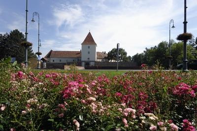 Sárvár, Nádasdy-vár (Sárvári vár)-stock-foto