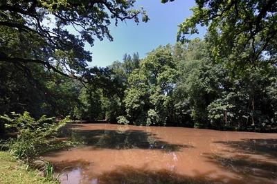 Sárvári arborétum-stock-foto